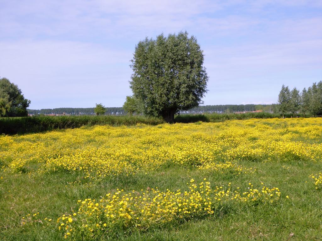 Boutique Hotel Het Bloemenhof บรูจส์ ภายนอก รูปภาพ